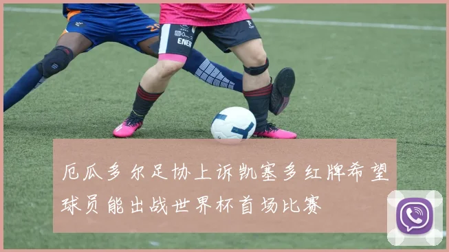 厄瓜多尔足协上诉凯塞多红牌希望球员能出战世界杯首场比赛