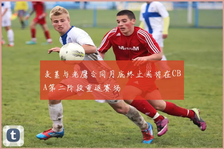 麦基与老鹰合同月底终止或将在CBA第二阶段重返赛场