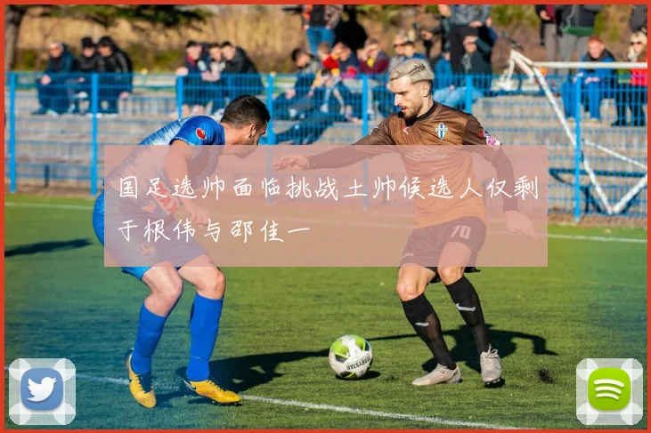 国足选帅面临挑战土帅候选人仅剩于根伟与邵佳一