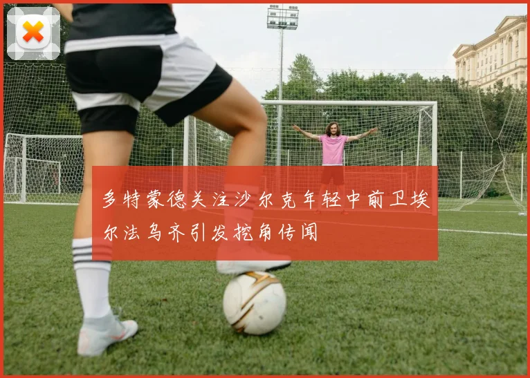 多特蒙德关注沙尔克年轻中前卫埃尔法乌齐引发挖角传闻