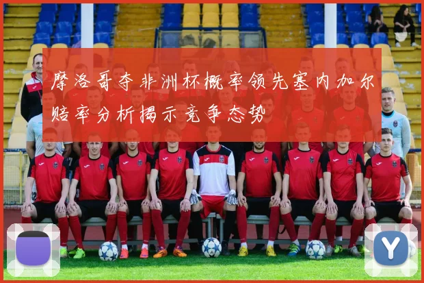 摩洛哥夺非洲杯概率领先塞内加尔赔率分析揭示竞争态势