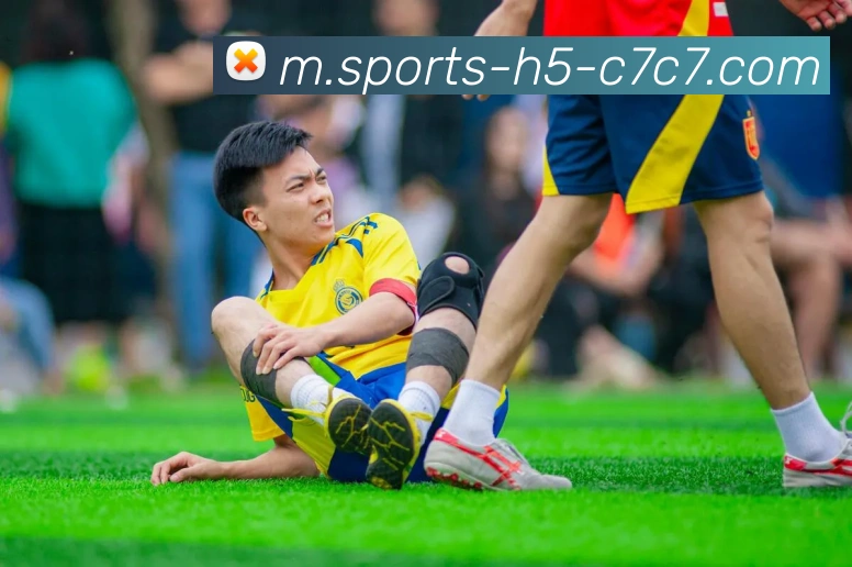 多媒体互动体验